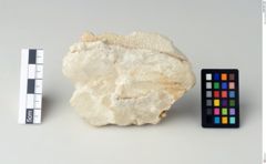 Foto von Cerussit (NHMW-MIN-Ac852)